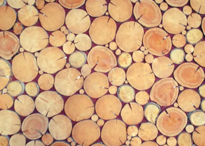 S'waldhaus Sankt Leonhard im Pitztal